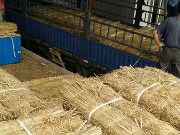 不會使用條形草支墊，建學草編制品來教你